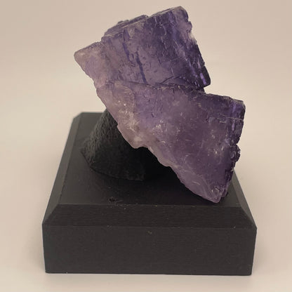 Fluorite, Melchor Muzquiz, Coahuila, Mexico
